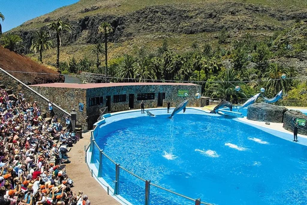 Apartment En Playa del Ingles (Gran Canaria)
